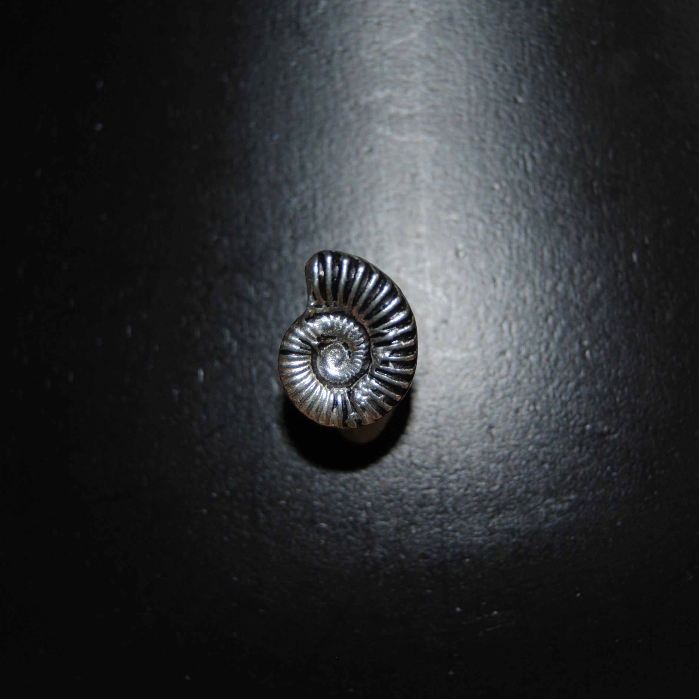 Pewter - Small Ammonite Brooch