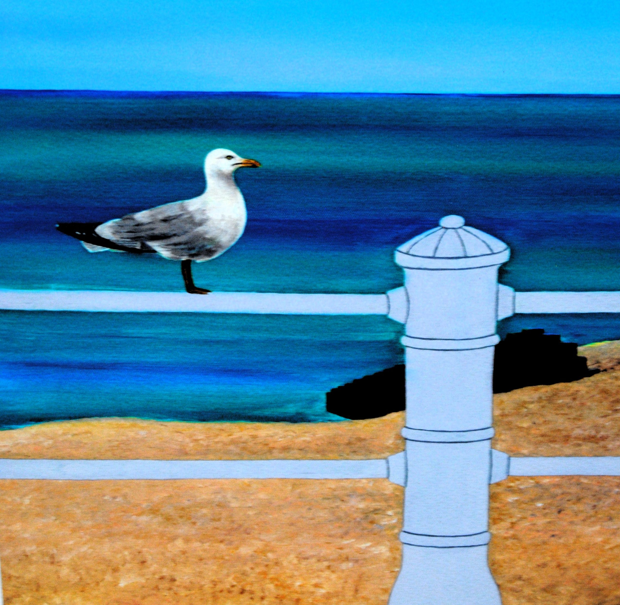 Ruth Cowell - Seagull St Leonards On Sea c